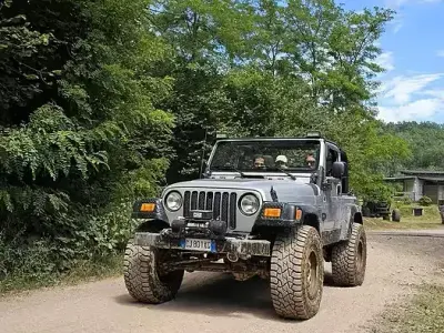 Usata Jeep Wrangler Sport 177 CV (130 kW) 2003 Grigio SUV