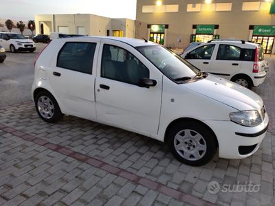 usata Fiat Punto diesel