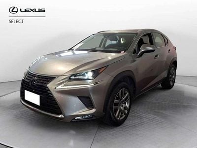 Usata Lexus NX300h Business Edition 197 CV (144 kW) 2020 Sonic titanium SUV