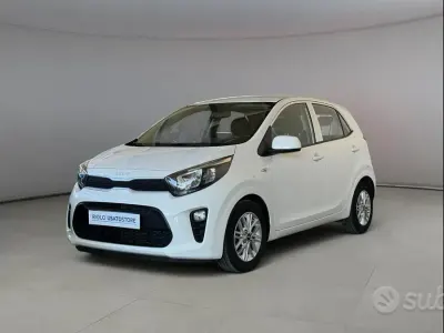 Usata Kia Picanto Urban 67 CV (49 kW) 2024 Bianco Utilitaria