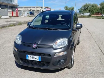 Usata Fiat Panda Easy 95 CV (69 kW) 2017 Grigio Utilitaria