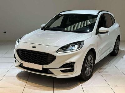 Usata Ford Kuga ST-Line 150 CV (110 kW) 2023 Bianco SUV