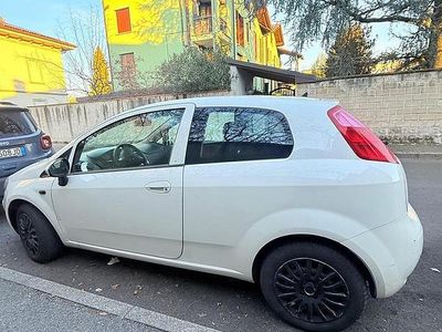 Usata Fiat Punto 75 CV (55 kW) 2014 Bianco Utilitaria