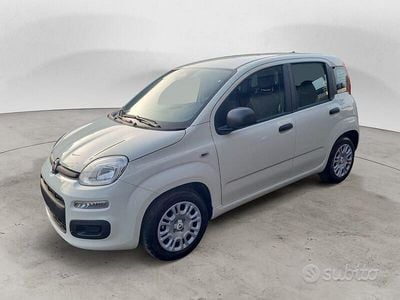Nuova Fiat Panda Pop 70 CV (51 kW) 2025 Bianco Berlina