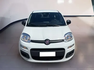 Usata Fiat Panda 69 CV (50 kW) 2025 Bianco Utilitaria