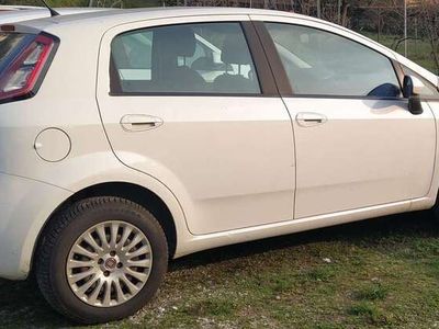 usata Fiat Punto 