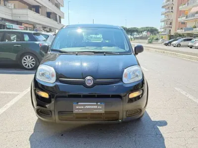Usata Fiat Panda City Life 69 CV (50 kW) 2023 Nero Utilitaria
