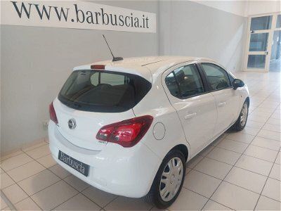 usata Opel Corsa 1.3 CDTI 5 porte Advance usato