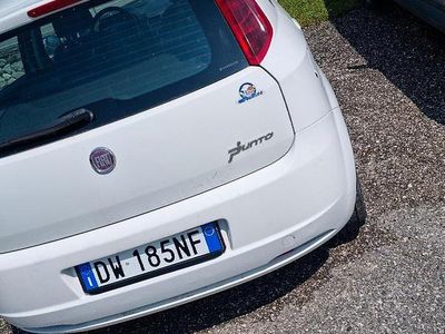 Bianco Usata 2009 Fiat Punto Berlina | 2999 € (Cara)