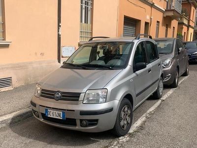 usata Fiat Panda Panda 1.2 Dynamic