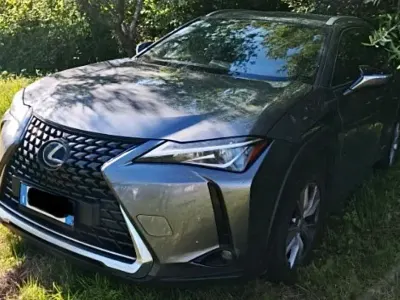 Usata Lexus UX 250h Business Edition 184 CV (135 kW) 2021 Grigio SUV