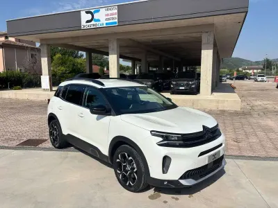 Usata Citroën C5 Aircross Shine 131 CV (96 kW) 2023 Bianco perlato SUV