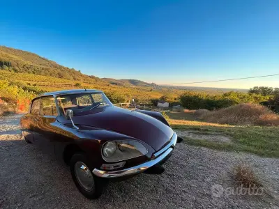 Usata Citroën DS 109 CV (80 kW) 1960 Berlina