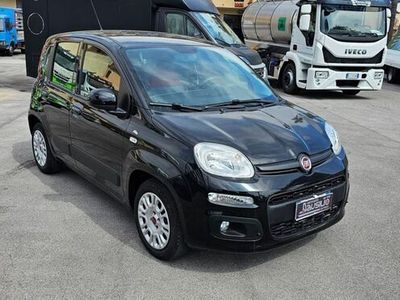 usata Fiat Panda 3ª serie 1.2 Pop