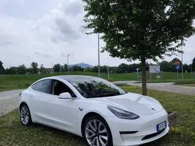 Usado Tesla Model 3 152 kW (208 HP) 2020 Sedan