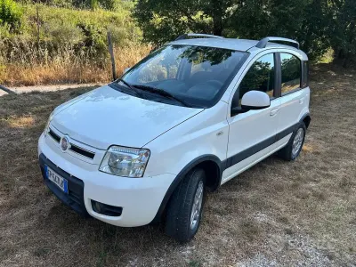 Usata Fiat Panda 4x4 Climbing 75 CV (55 kW) 2012 Bianco Utilitaria