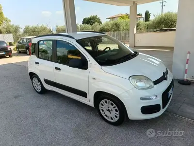 Usata Fiat Panda Easy 69 CV (50 kW) 2013 Bianco Utilitaria