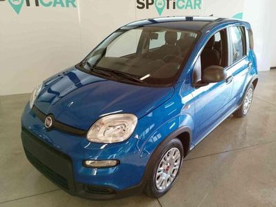 usata Fiat Panda 1.0 FireFly S&S Hybrid