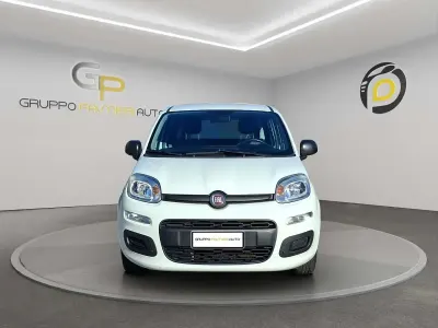 Usata Fiat Panda S 69 CV (50 kW) 2022 Bianco Utilitaria