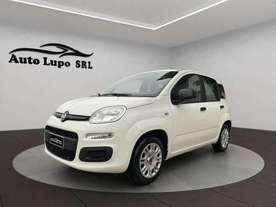 Usata Fiat Panda Easy 69 CV (50 kW) 2019 Bianco Utilitaria