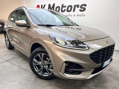 usata Ford Kuga 2.0 EcoBlue 190 CV aut. AWD ST-Line X