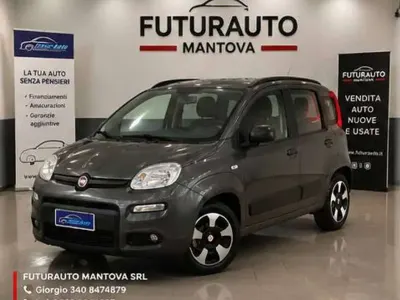 Usata Fiat Panda S 69 CV (50 kW) 2021 Other Utilitaria