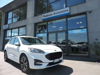Usata Ford Kuga ST-Line X 152 CV (111 kW) 2023 Bianco SUV
