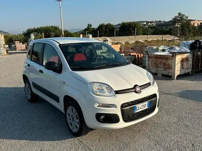 Usata Fiat Panda Pop 85 CV (62 kW) 2020 Bianco Utilitaria