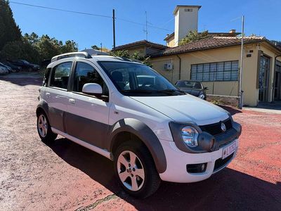 Usata Fiat Panda 4x4 Cross 75 CV (55 kW) 2011 Bianco Utilitaria