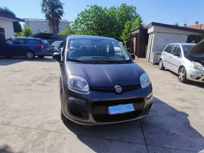 Usata Fiat Panda Lounge 69 CV (50 kW) 2019 Grigio Utilitaria