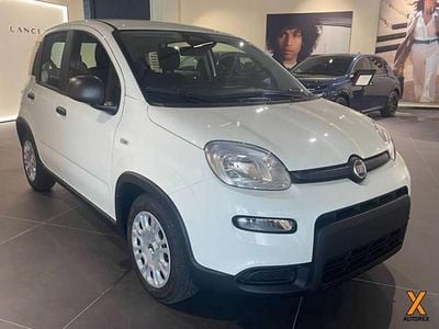 Nuova Fiat Panda S 69 CV (50 kW) 2025 Bianco Utilitaria