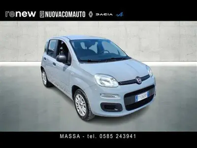 Usata Fiat Panda Easy 69 CV (50 kW) 2019 Grigio chiaro Utilitaria