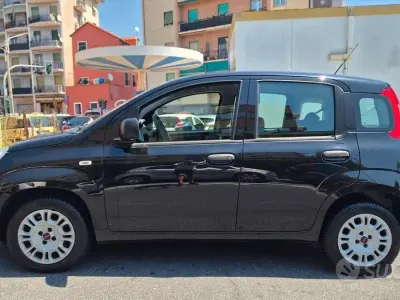 Usata Fiat Panda Easy 69 CV (50 kW) 2019 Nero Utilitaria