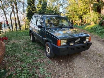 Usata Fiat Panda 4x4 50 CV (36 kW) 1988 Verde Utilitaria