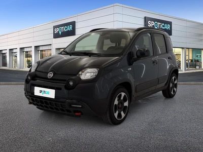 usata Fiat Panda Cross 1.0 FireFly 70cv S&S Hybrid