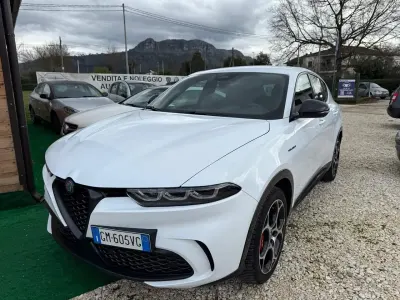 Usata Alfa Romeo Tonale 179 CV (131 kW) 2023 Bianco SUV