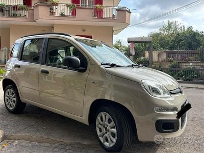 Usata Fiat Panda 70 CV (51 kW) 2014 Utilitaria