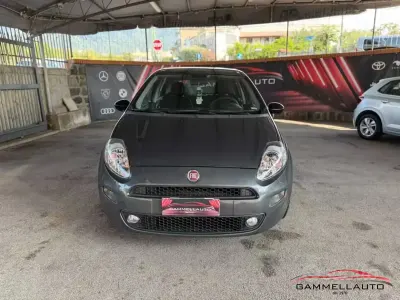Usata Fiat Punto Lounge 69 CV (50 kW) 2016 Grigio Utilitaria