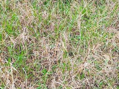 Usata Peugeot 206 2002