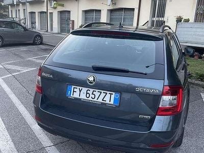 Usata Skoda Octavia G-TEC Ambition 131 CV (96 kW) 2019 Grigio Station wagon