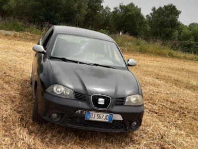 usata Seat Ibiza Ibiza 1.9 TDI DPF 5p. Stylance