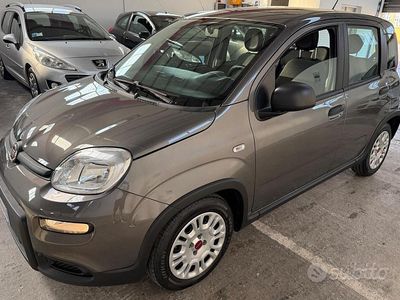 Usata Fiat Panda S 70 CV (51 kW) 2022 Grigio Utilitaria