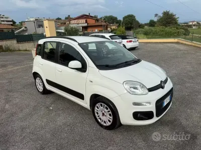 Usata Fiat Panda Easy 69 CV (50 kW) 2019 Bianco Utilitaria