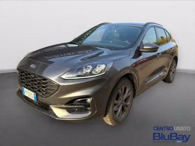 Usata Ford Kuga ST-Line X 225 CV (165 kW) 2023 Grigio SUV