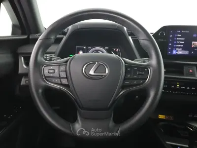 Usata Lexus UX 152 CV (111 kW) 2024 Gray SUV