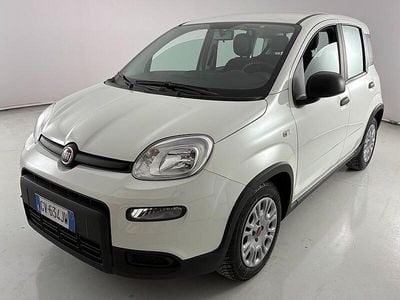 Usata Fiat Panda S 70 CV (51 kW) 2024 Bianco Utilitaria