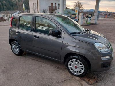 usata Fiat Panda 1.2 Easy