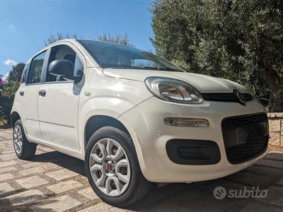 usata Fiat Panda 3ª serie - 2017