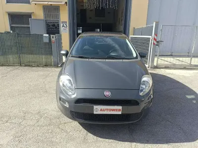 Usata Fiat Punto Street 69 CV (50 kW) 2014 Grigio Utilitaria
