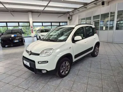 Usata Fiat Panda 4x4 S 95 CV (69 kW) 2016 Grigio Utilitaria